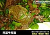 鸡蛋牛肉面的做法