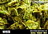 榆钱饭的做法
