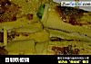 自制铁板烧的做法