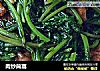 肉炒茼蒿的做法