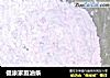健康家庭油条的做法