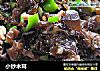 小炒木耳的做法