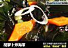 胡萝卜炒海带的做法