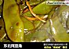 东北炖豆角的做法