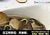 白芷炖香菇：风寒感冒的及时补救措施的做法