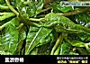 盐渍香椿的做法