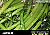 蒜泥茼蒿的做法