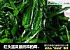 红头韭菜最纯粹的两种家庭做法--清炒VS跑蛋的做法