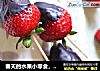 春天的水果小零食，草莓伯爵的做法