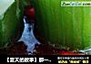 【夏天的故事】那一抹清新的绿——鲜肉滑蛋蒸丝瓜的做法