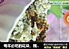 每年必吃的花朵，槐花疙瘩的做法