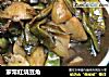 家常红烧豆角的做法