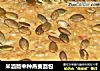 米酒版中种燕麦面包的做法