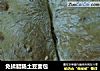 免揉腊肠土豆面包的做法