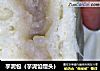 芋泥包（芋泥馅馒头）的做法