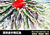 清蒸金针菊花鱼的做法