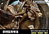 茶树菇龙骨汤的做法