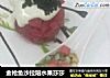 金枪鱼沙拉陪水果莎莎的做法