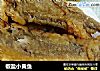 椒盐小黄鱼的做法