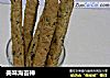 美味海苔棒的做法
