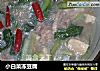 小白菜冻豆腐的做法