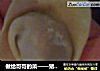 做给哥哥的菜——猪肉韭菜抄手的做法