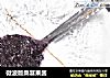 微波版桑葚果酱的做法