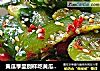 黄瓜季里别样吃黄瓜——自制麻辣腌黄瓜的做法