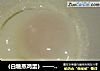 （白糖蒸鸡蛋）——治疗咳嗽小秘方的做法