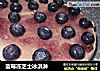 蓝莓冻芝士冰淇淋的做法