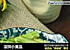 凉拌小黄瓜的做法
