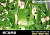 虾仁炝芹菜的做法