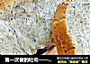 第一次做的吐司——黑芝麻吐司的做法