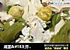 咸蛋＆#183;芥菜＆#183;豆腐汤的做法