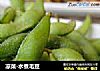 凉菜-水煮毛豆的做法
