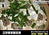 正宗客家酿豆腐的做法
