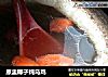 原盅椰子炖乌鸡的做法