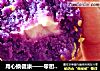 用心换健康——零厨艺紫薯奶酪球的做法