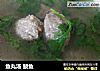 鱼丸汤 鲅鱼的做法