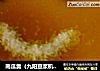 南瓜羹（九阳豆浆机版）的做法