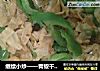 继续小炒——青椒干豆皮的做法