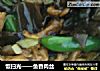 饭扫光——鱼香肉丝的做法