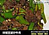 辣椒豆鼓炒牛肉的做法