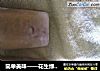 简单美味——花生绿豆枣碎冰棍的做法