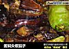 酱焖尖椒茄子的做法