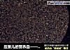 应景儿的营养品——香醇黑芝麻糊的做法