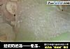 给奶奶的汤——冬瓜肉丸汤的做法