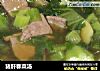 猪肝春菜汤的做法