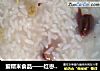 爱糯米食品——红枣葡萄干糯米粥的做法