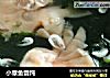 小章鱼馄饨的做法